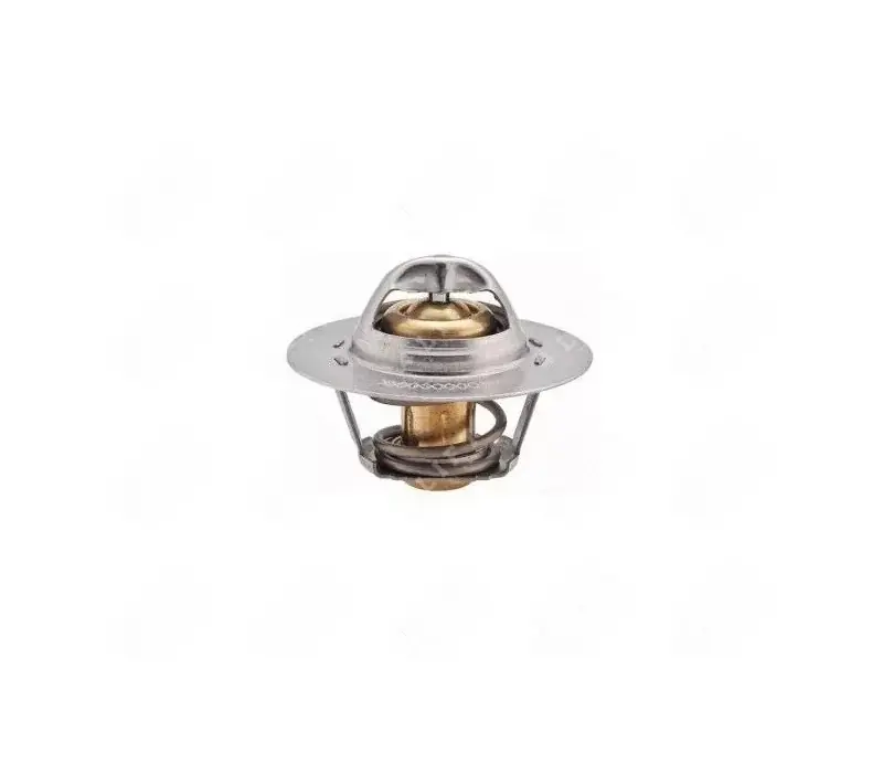 Termostat silnika RENAULT F3R - Ekspresowa dostawa