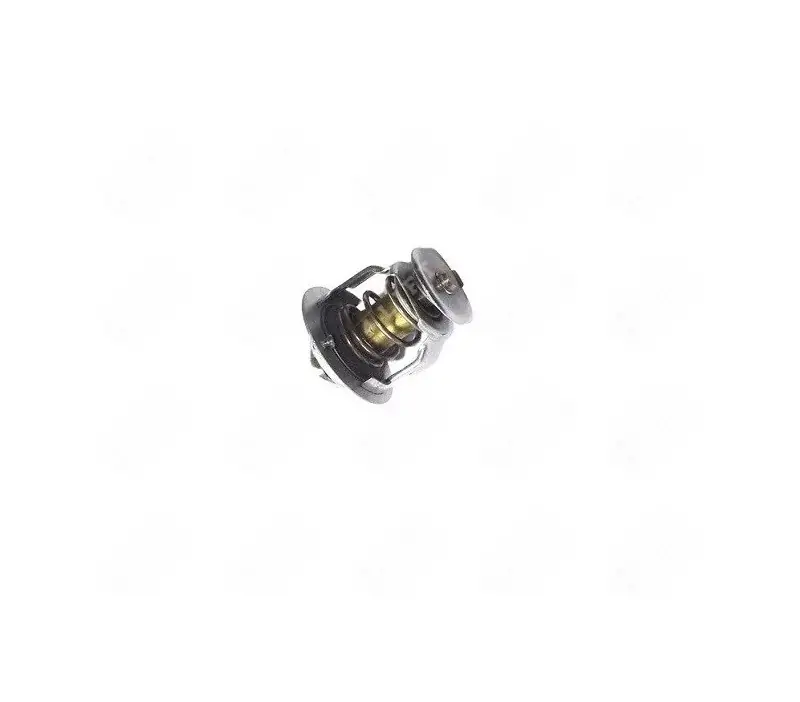 Termostat silnika THERMO KING TK486V | Cena producenta