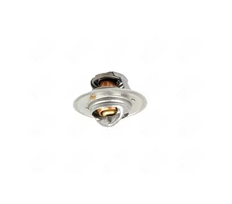 Termostat silnika PERKINS CM | Bestseller