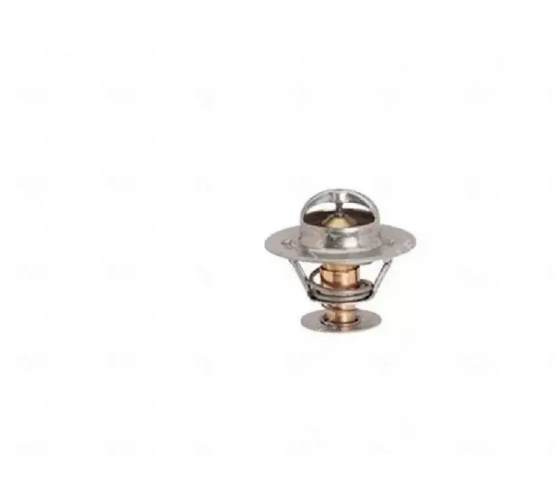 Ostatnie dni promocji | Termostat silnika PERKINS 1004-40T