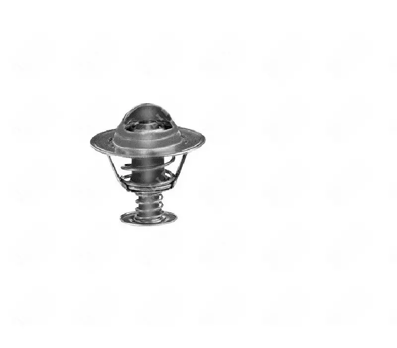 Oferta promocyjna - Termostat silnika PERKINS T6.354.1