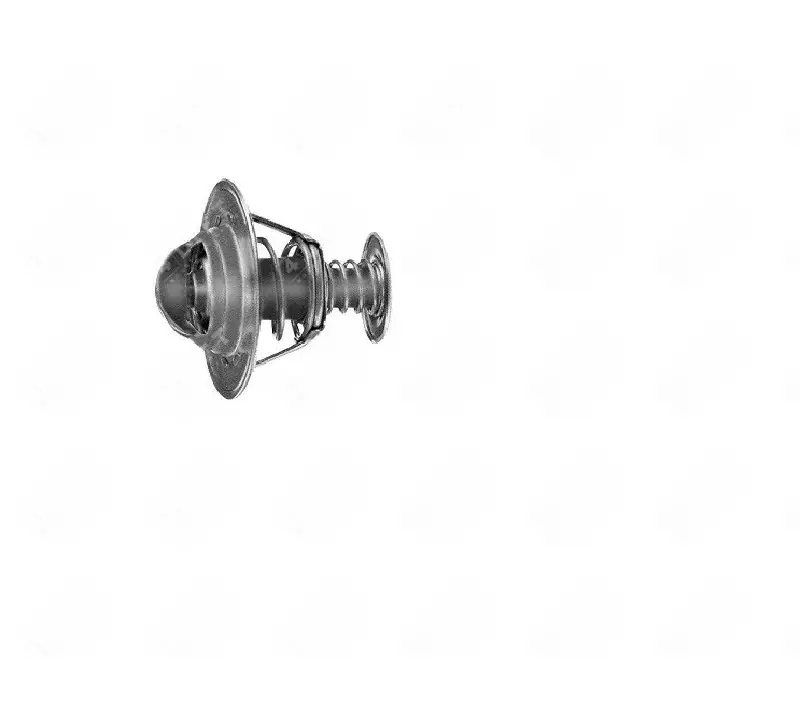 Termostat silnika PERKINS 1006E-6T | Nie czekaj
