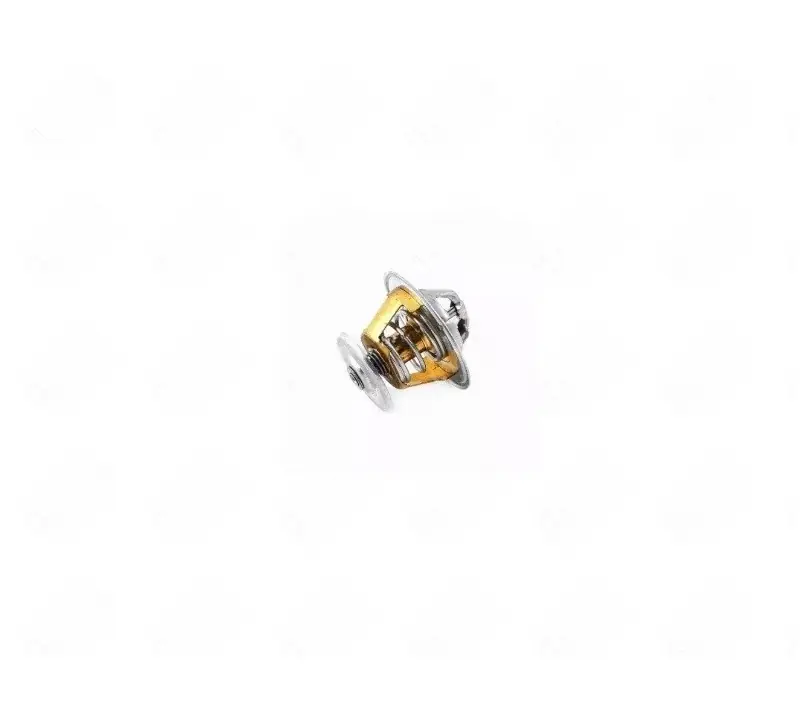 Termostat silnika CATERPILLAR 3126 | Cena specjalna
