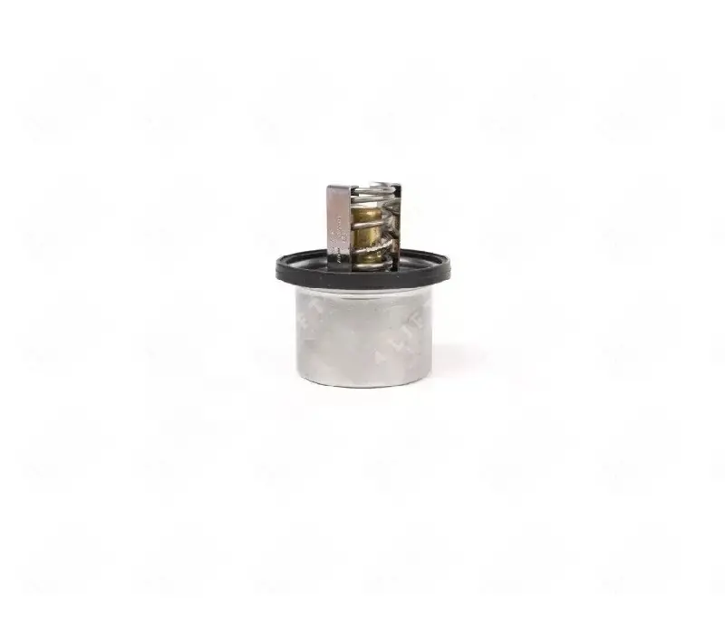 Termostat silnika PERKINS SIB | Oferta specjalna