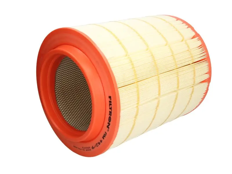 Filtr powietrza FILTRON AM 442/9 | Wybór klientów