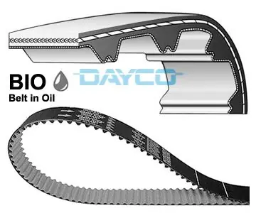 Pasek wieloklinowy DAYCO 941163 | Świetna oferta