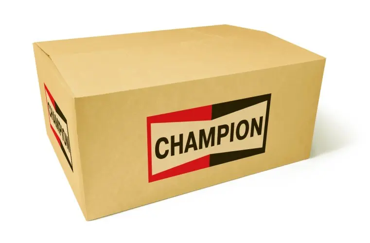 Produkt polecany - Filtr paliwa CHAMPION CFF100462 7701206928