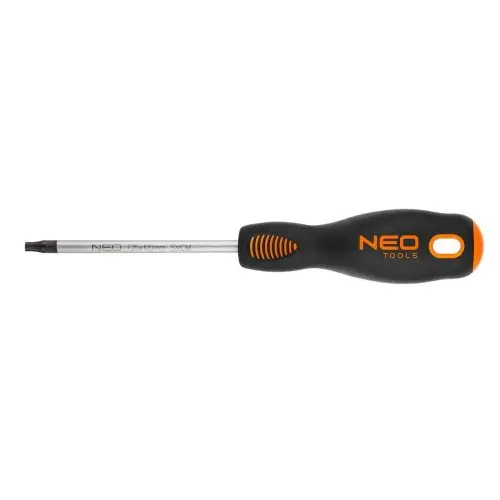 Dobra cena | Wkrętak Torx T25 x 100 mm