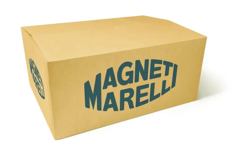 Zapasy na wyczerpaniu | NAKRĘTKA OCHRONNA ZAWORU R134A LP MAGNETI MARELLI 007950025290 (2SZT) JAPOŃSKIE
