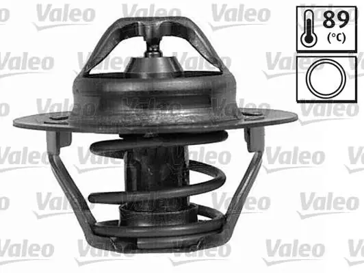 TERMOSTAT DACIA DUSTER 1.6 FLEXIBLE (3/2010>), RENAULT MEGANE 2.0 BENZ - Produkt premium