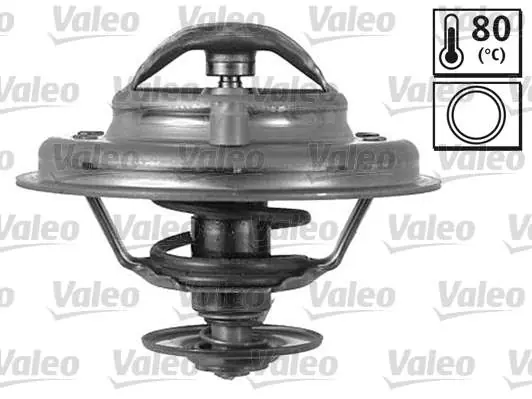 TERMOSTAT BMW 5 SERIES 2.5 DIESEL 8/1991>9/1995 | Ostatnie dni