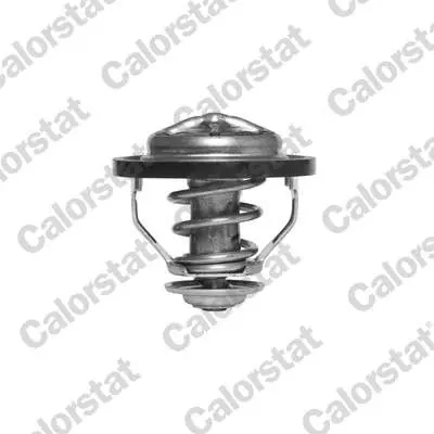 TERMOSTAT RENAULT 2.2 12V TD - Nie zwlekaj