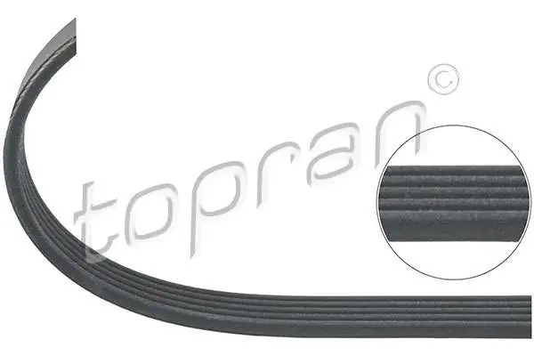Na zamówienie | PASEK KLINOWY 5PKX1230/EPDM 5PK X 1230MM